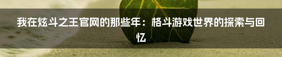 我在炫斗之王官网的那些年：格斗游戏世界的探索与回忆