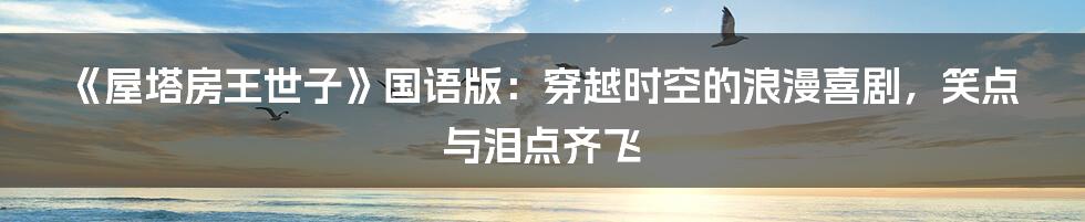 《屋塔房王世子》国语版：穿越时空的浪漫喜剧，笑点与泪点齐飞
