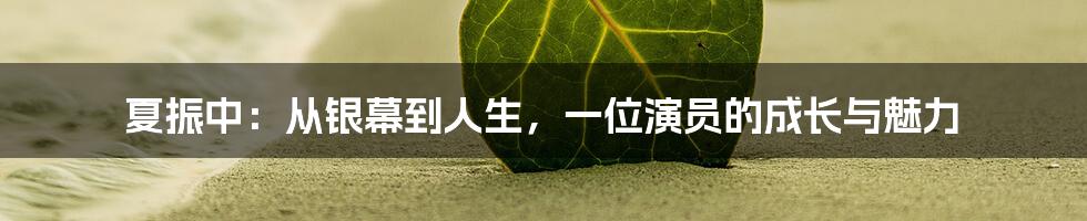 夏振中:从银幕到人生,一位演员的成长与魅力