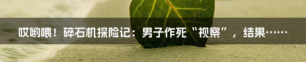 哎哟喂!碎石机探险记:男子作死“视察”,结果……