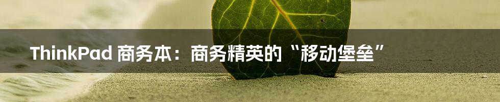 ThinkPad 商务本：商务精英的“移动堡垒”