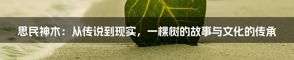 思民神木：从传说到现实，一棵树的故事与文化的传承