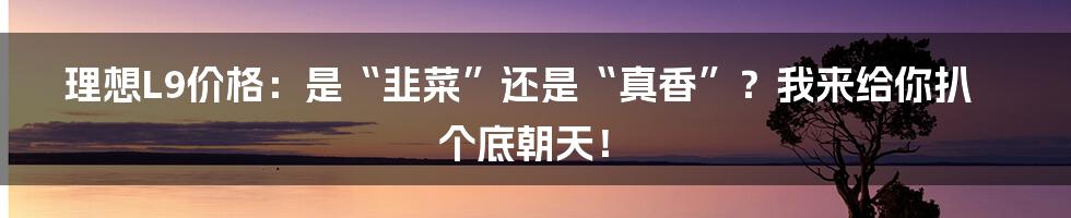 理想L9价格：是“韭菜”还是“真香”？我来给你扒个底朝天！