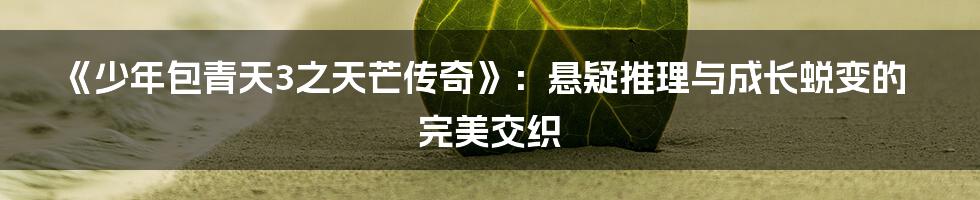 《少年包青天3之天芒传奇》:悬疑推理与成长蜕变的完美交织