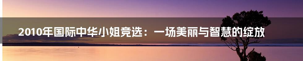 2010年国际中华小姐竞选：一场美丽与智慧的绽放