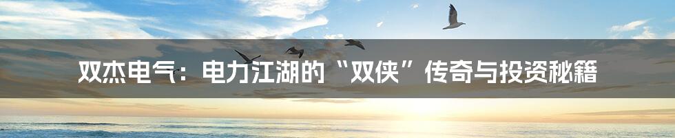 双杰电气:电力江湖的“双侠”传奇与投资秘籍