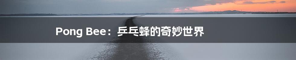 Pong Bee：乒乓蜂的奇妙世界