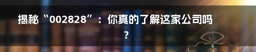 揭秘“002828”:你真的了解这家公司吗?