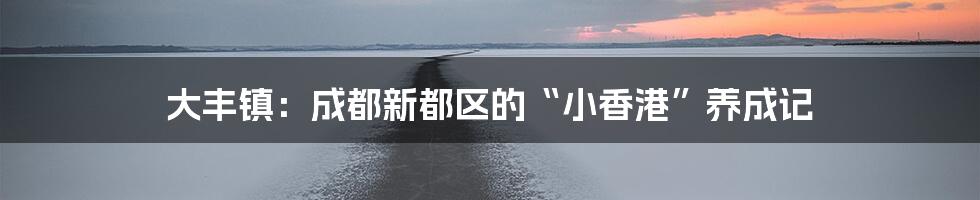 大丰镇:成都新都区的“小香港”养成记