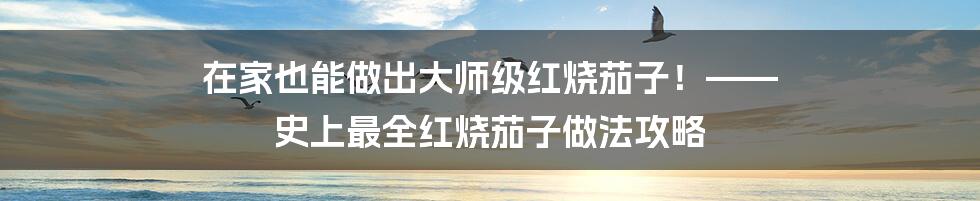 在家也能做出大师级红烧茄子!—— 史上最全红烧茄子做法攻略