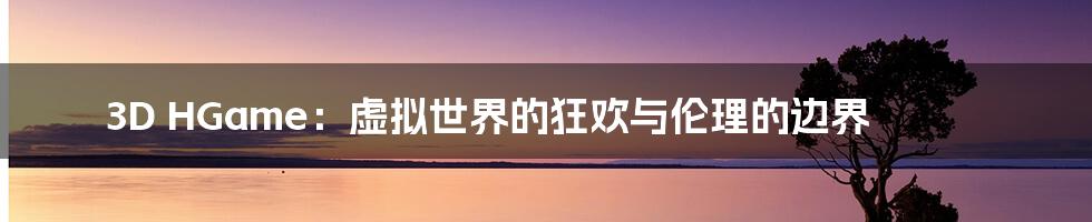 3D HGame:虚拟世界的狂欢与伦理的边界