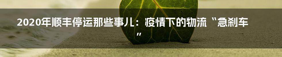 2020年顺丰停运那些事儿：疫情下的物流“急刹车”