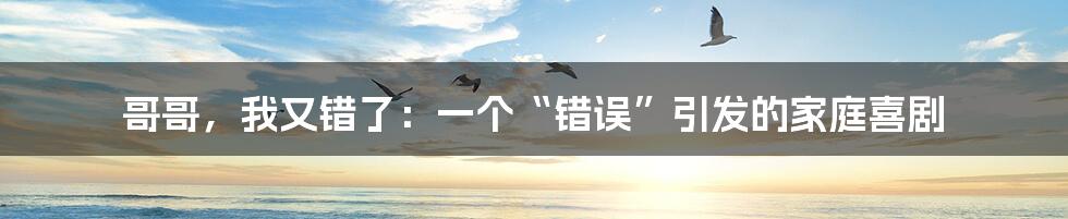 哥哥，我又错了：一个“错误”引发的家庭喜剧
