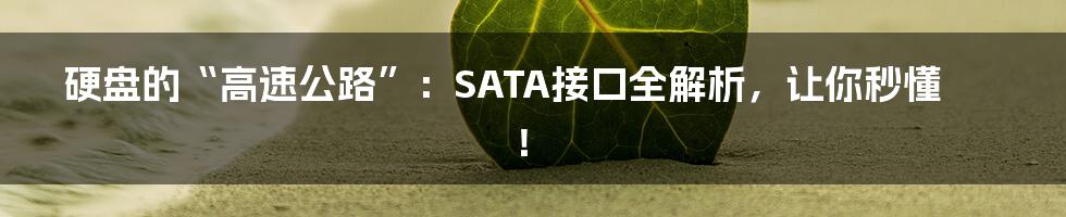 硬盘的“高速公路”:SATA接口全解析,让你秒懂!