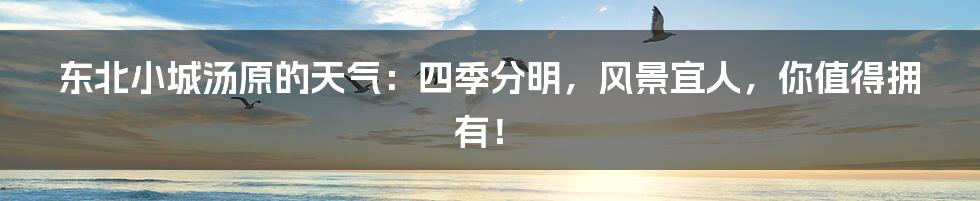 东北小城汤原的天气:四季分明,风景宜人,你值得拥有!