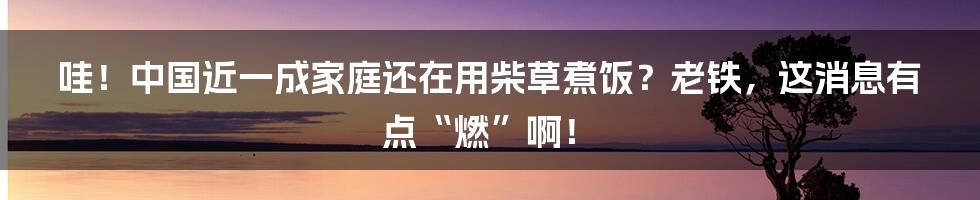 哇！中国近一成家庭还在用柴草煮饭？老铁，这消息有点“燃”啊！