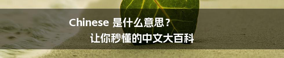 Chinese 是什么意思？ 让你秒懂的中文大百科
