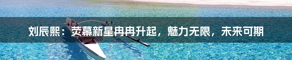 刘辰熙：荧幕新星冉冉升起，魅力无限，未来可期