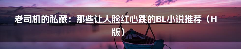 老司机的私藏:那些让人脸红心跳的BL小说推荐(H版)