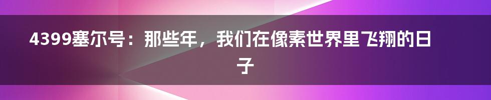 4399塞尔号：那些年，我们在像素世界里飞翔的日子