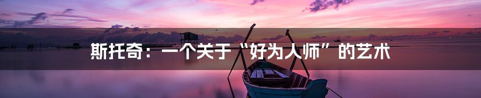 斯托奇：一个关于“好为人师”的艺术