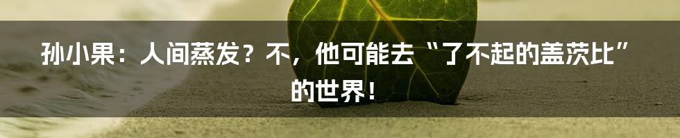 孙小果：人间蒸发？不，他可能去“了不起的盖茨比”的世界！