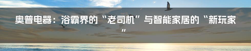 奥普电器:浴霸界的“老司机”与智能家居的“新玩家”