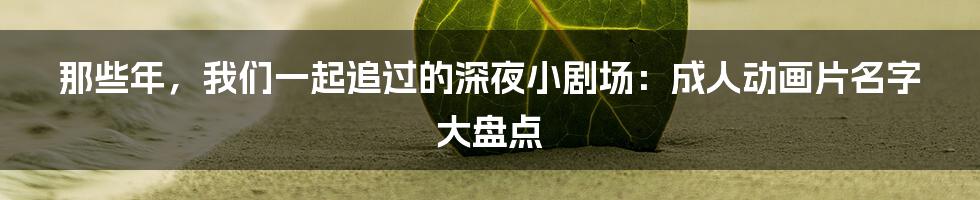 那些年,我们一起追过的深夜小剧场:成人动画片名字大盘点