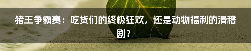 猪王争霸赛：吃货们的终极狂欢，还是动物福利的滑稽剧？