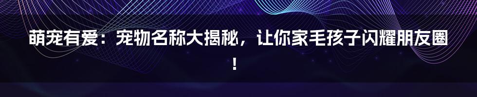 萌宠有爱:宠物名称大揭秘,让你家毛孩子闪耀朋友圈!