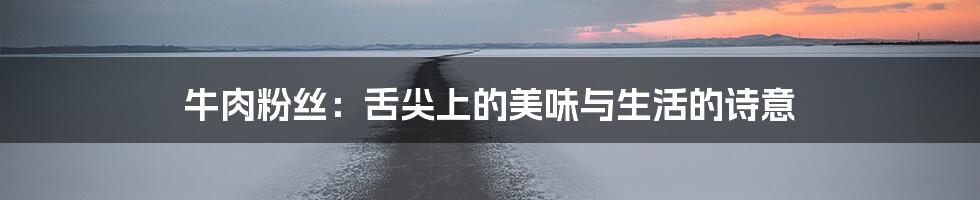 牛肉粉丝:舌尖上的美味与生活的诗意
