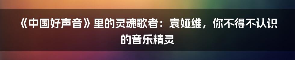 《中国好声音》里的灵魂歌者:袁娅维,你不得不认识的音乐精灵