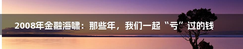 2008年金融海啸:那些年,我们一起“亏”过的钱
