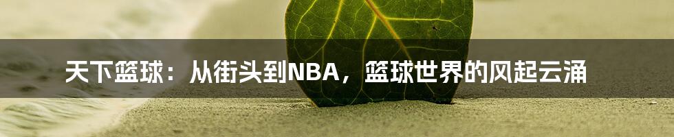 天下篮球：从街头到NBA，篮球世界的风起云涌