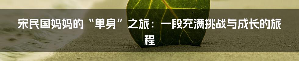 宋民国妈妈的“单身”之旅:一段充满挑战与成长的旅程