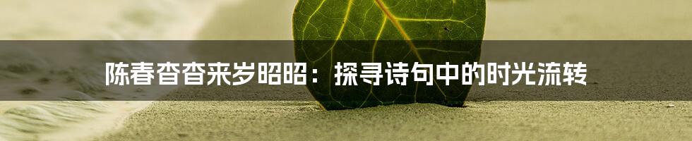 陈春杳杳来岁昭昭:探寻诗句中的时光流转