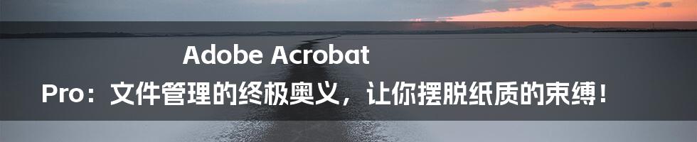 Adobe Acrobat Pro：文件管理的终极奥义，让你摆脱纸质的束缚！