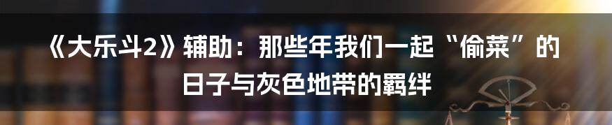 《大乐斗2》辅助:那些年我们一起“偷菜”的日子与灰色地带的羁绊