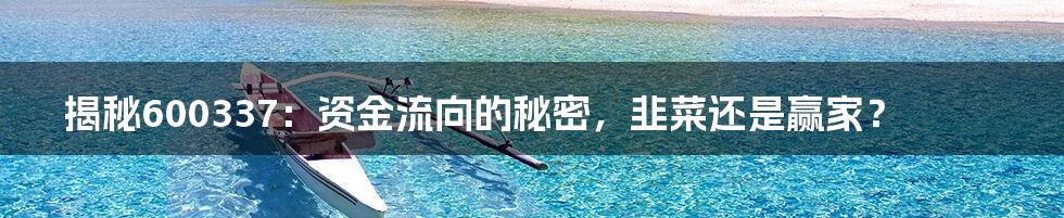 揭秘600337:资金流向的秘密,韭菜还是赢家?