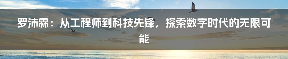 罗沛霖：从工程师到科技先锋，探索数字时代的无限可能