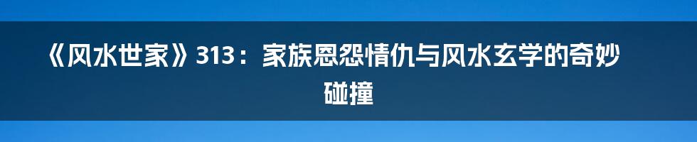 《风水世家》313：家族恩怨情仇与风水玄学的奇妙碰撞