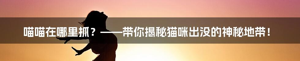 喵喵在哪里抓?——带你揭秘猫咪出没的神秘地带!