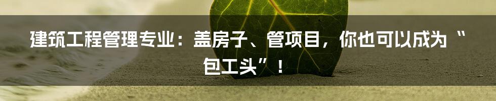 建筑工程管理专业:盖房子、管项目,你也可以成为“包工头”!