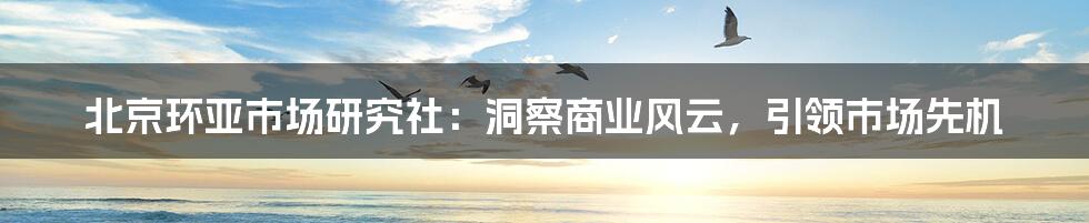 北京环亚市场研究社：洞察商业风云，引领市场先机