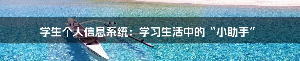 学生个人信息系统：学习生活中的“小助手”