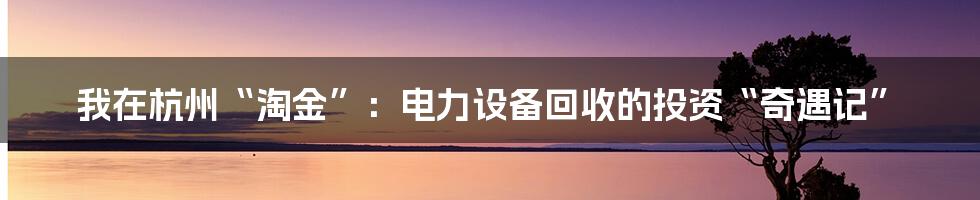 我在杭州“淘金”：电力设备回收的投资“奇遇记”