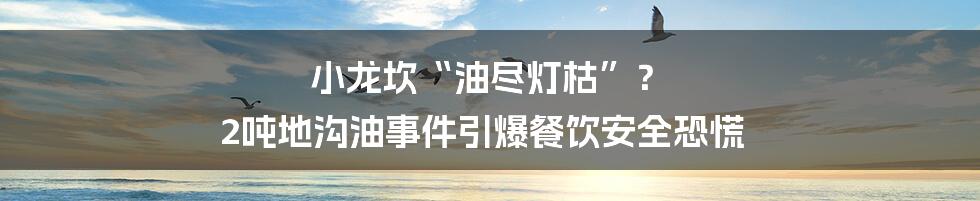 小龙坎“油尽灯枯”？ 2吨地沟油事件引爆餐饮安全恐慌