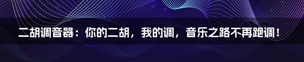 二胡调音器：你的二胡，我的调，音乐之路不再跑调！