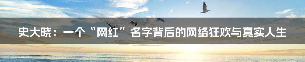 史大晓:一个“网红”名字背后的网络狂欢与真实人生