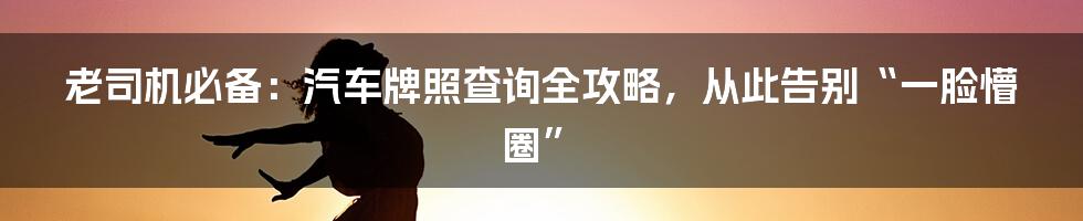 老司机必备：汽车牌照查询全攻略，从此告别“一脸懵圈”